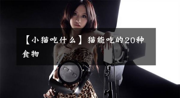【小猫吃什么】猫能吃的20种食物文章配图
