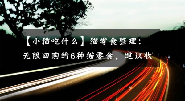 【小猫吃什么】猫零食整理：无限回购的6种猫零食，建议收藏