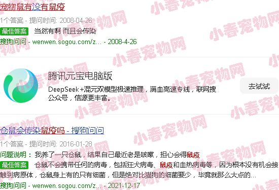 宠物鼠有鼠疫吗