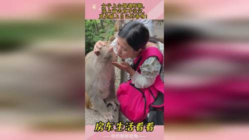 女子上山偶遇野猴，凑上前去直呼宝宝，更是献上自己的香吻！