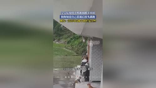 宝宝玩耍时不慎被狗推下水田，狗狗知道自己惹祸后扭头就跑