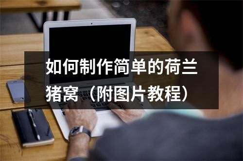 如何制作简单的荷兰猪窝（附图片教程）