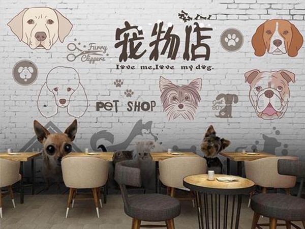 宠物店面装修