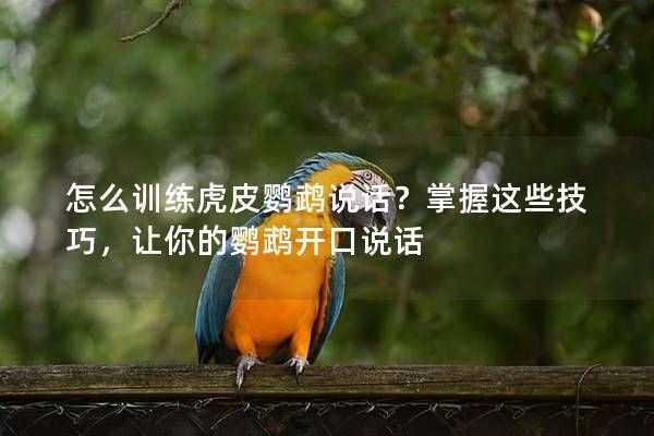 怎么训练虎皮鹦鹉说话？掌握这些技巧，让你的鹦鹉开口说话