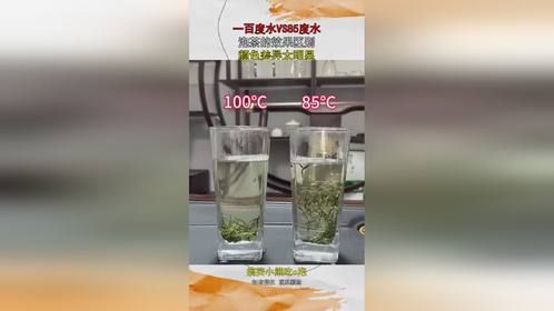 一百度水VS85度水，泡茶的效果区别，颜色差异太明显！