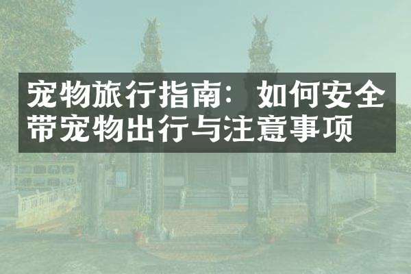 宠物旅行指南：如何安全带宠物出行与注意事项