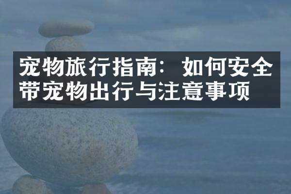 宠物旅行指南：如何安全带宠物出行与注意事项