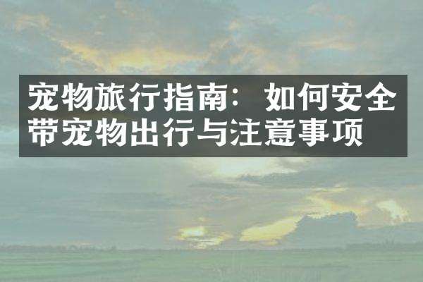 宠物旅行指南：如何安全带宠物出行与注意事项