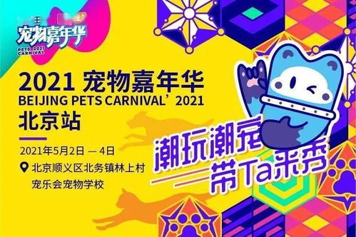 宠物运动会：让你的宠物健康快乐？参赛攻略和获奖名单