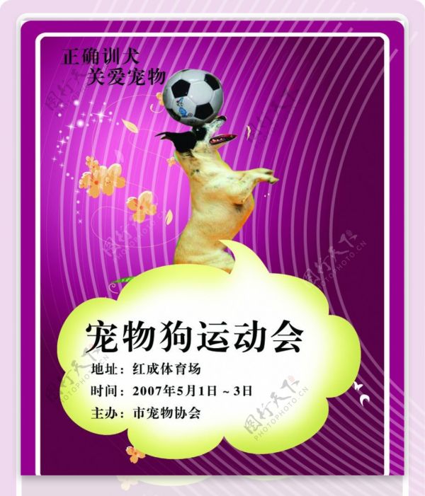 宠物运动会宣传海报模板图片