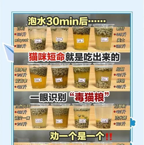 自制猫粮的口感如何？为何有时会变得不好吃？