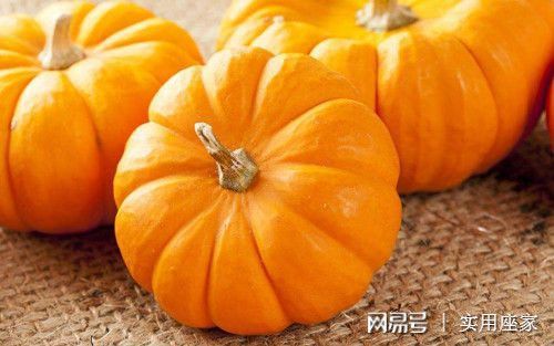 猫咪吃哪个南瓜好?口感软糯的南瓜适合吗?