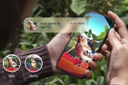 黑科技！Bird Buddy智能喂食器可识别鸟类品种并为其起名