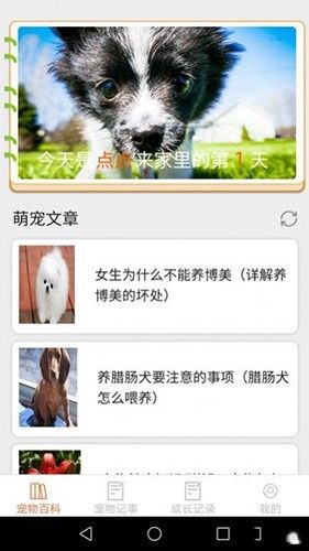 宠物点点APP2