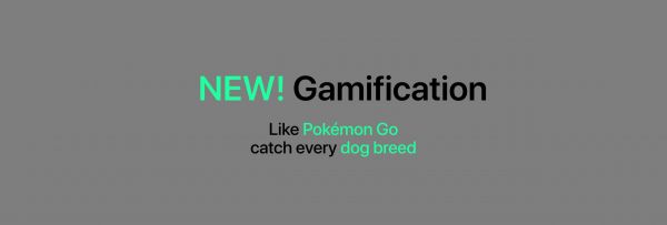 Gamification Update