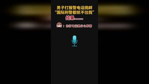 男子打报警电话挑衅：“国际刑警都抓不住我”