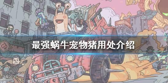 最强蜗牛宠物猪有什么用 宠物猪作用详解[多图]图片1