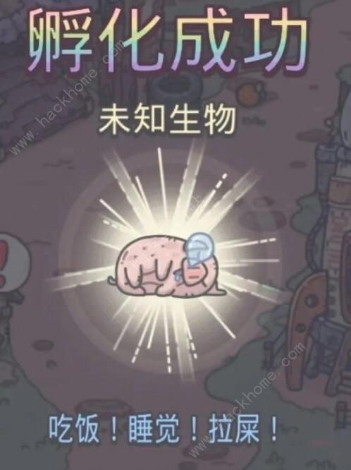 最强蜗牛宠物猪有什么用 宠物猪作用详解[多图]图片2