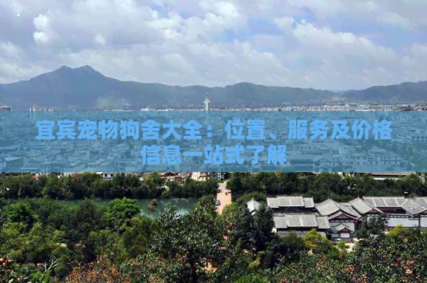 宜宾宠物狗舍大全：位置、服务及价格信息一站式了解