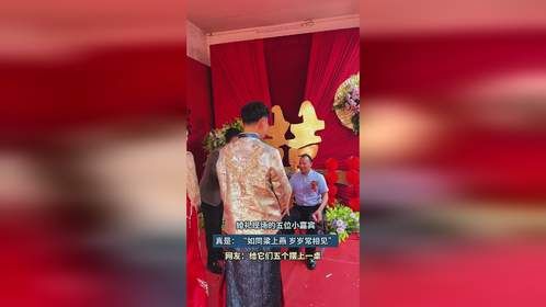 婚礼现场的五位小嘉宾，真是：“如同梁上燕，岁岁常相见！”