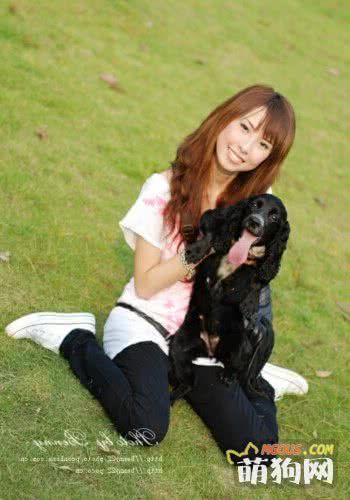 懒主人美狗狗 宠物美容院科普小手册
