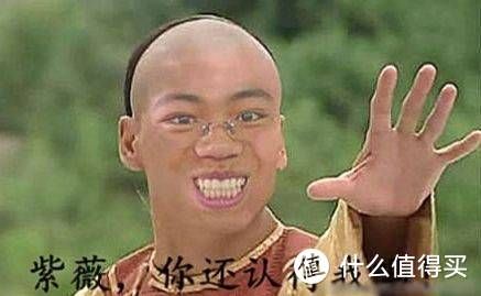 养孩子我不行，养只小鼠鼠还差不多！宠物仓鼠老母亲级经验分享！