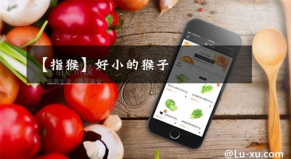 【指猴】好小的猴子文章配图