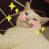花梨花梨