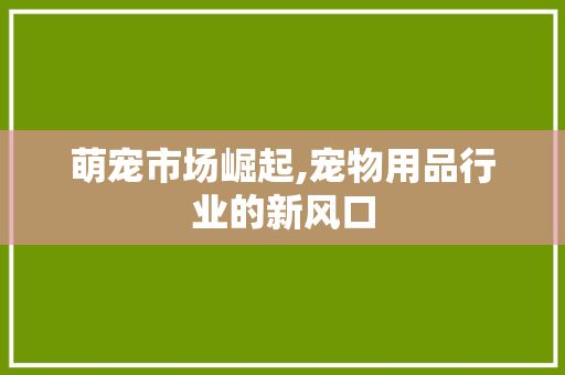 萌宠市场崛起,宠物用品行业的新风口