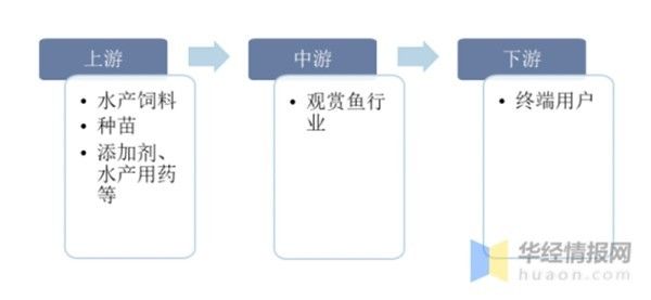 2022年中国观赏鱼行业发展现状及前景展望分析,国内养殖体系趋于完善
