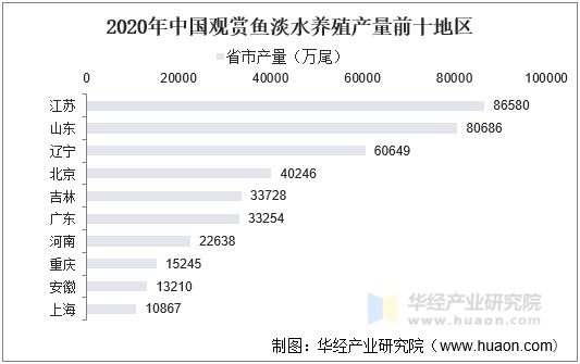 2020年中国观赏鱼淡水养殖产量前十地区