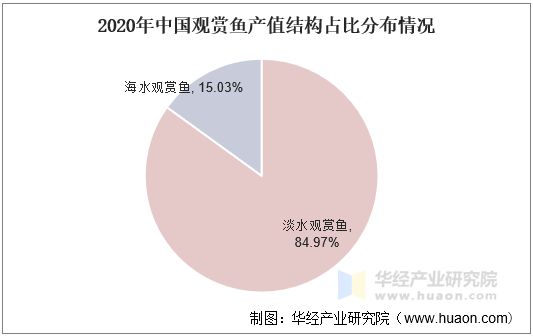 2020年中国观赏鱼产值结构占比分布情况