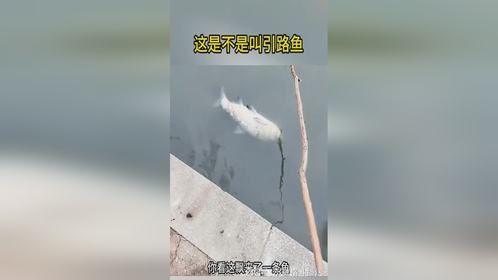 宁愿空军，也不要飘来的