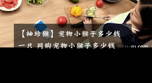 【袖珍猴】宠物小猴子多少钱一只 网购宠物小猴子多少钱