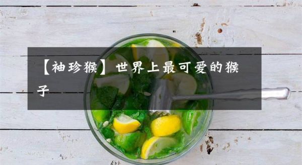 【袖珍猴】世界上最可爱的猴子文章配图