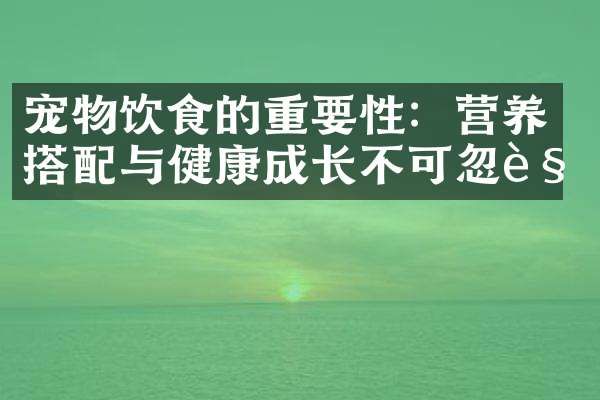 宠物饮食的重要性：营养搭配与健康成长不可忽视