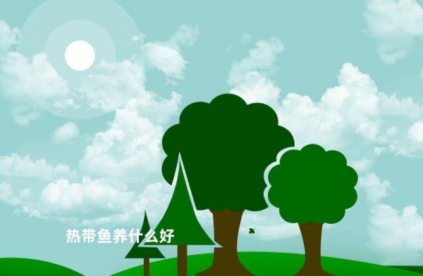 热带鱼养什么好
