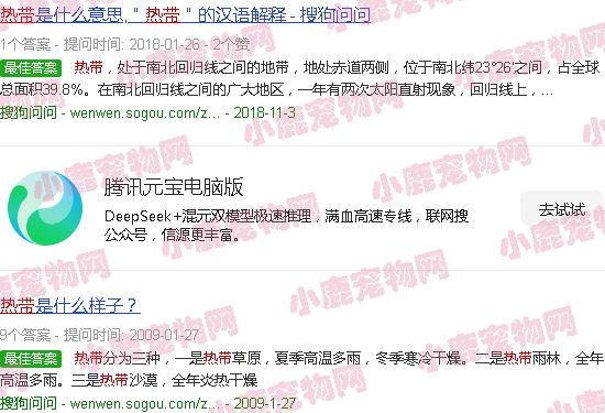 热带鱼种类图片大全名称