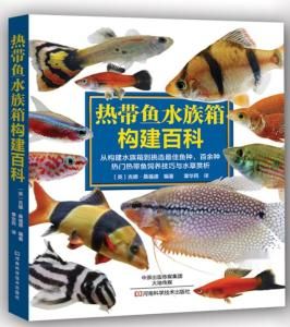 水族热带鱼，宠物界新宠！