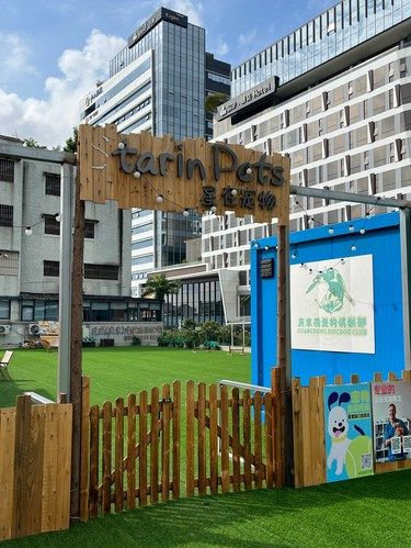 让人很放心的宠物店