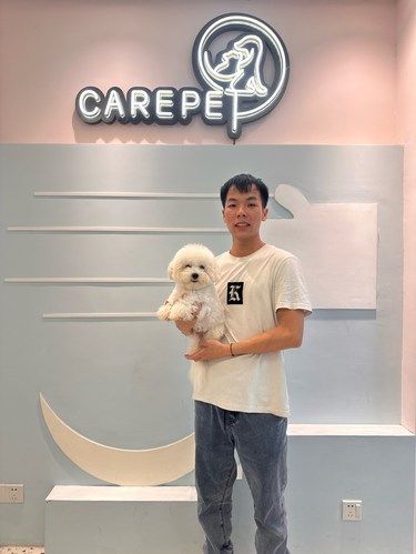 比熊老细入学get✅