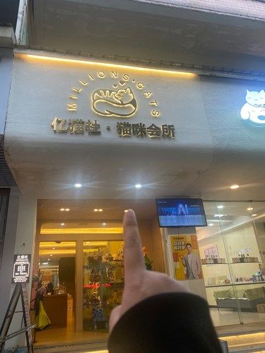 甜蜜猫咪甜品店