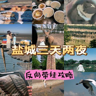 反向旅游，盐城带娃研学游！看这篇就够了