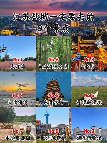 江苏盐城一定要去9个景点，你去过哪几个？