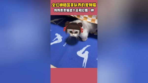 Thumbplayer Poster Plugin Image