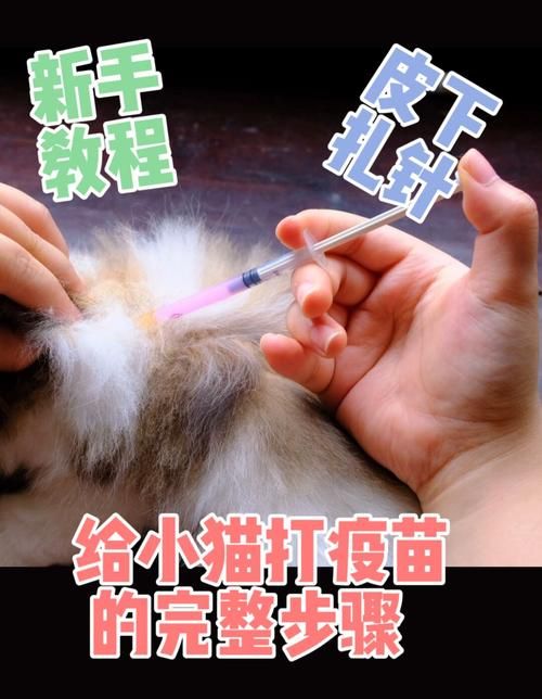 宠物疫苗能不能自己打针注射（宠物猫疫苗可以自己打么）