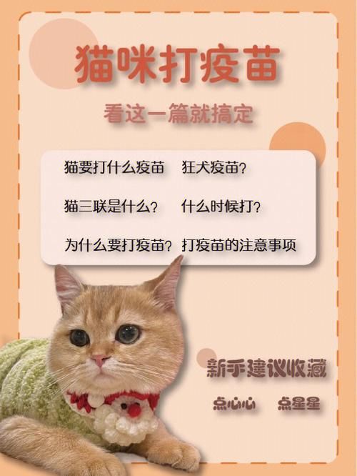 宠物疫苗能不能自己打针注射（宠物猫疫苗可以自己打么）