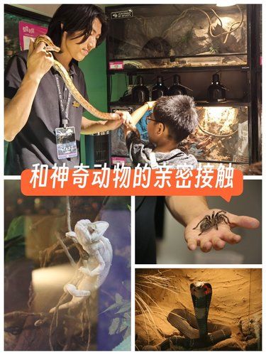 温榆河爬虫馆，胆大的小朋友先享受世界～