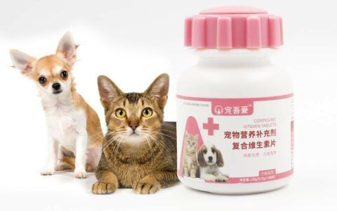 养猫保健品避雷指南：维生素 / 钙片 / 鱼油到底怎么选？