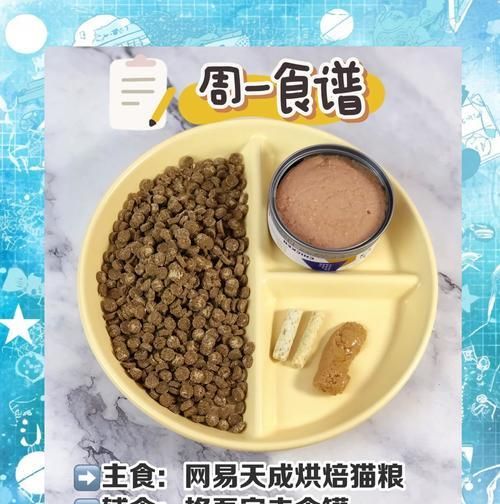 如何用经济实惠的方法制作美味猫粮？有哪些简单易行的食谱推荐？